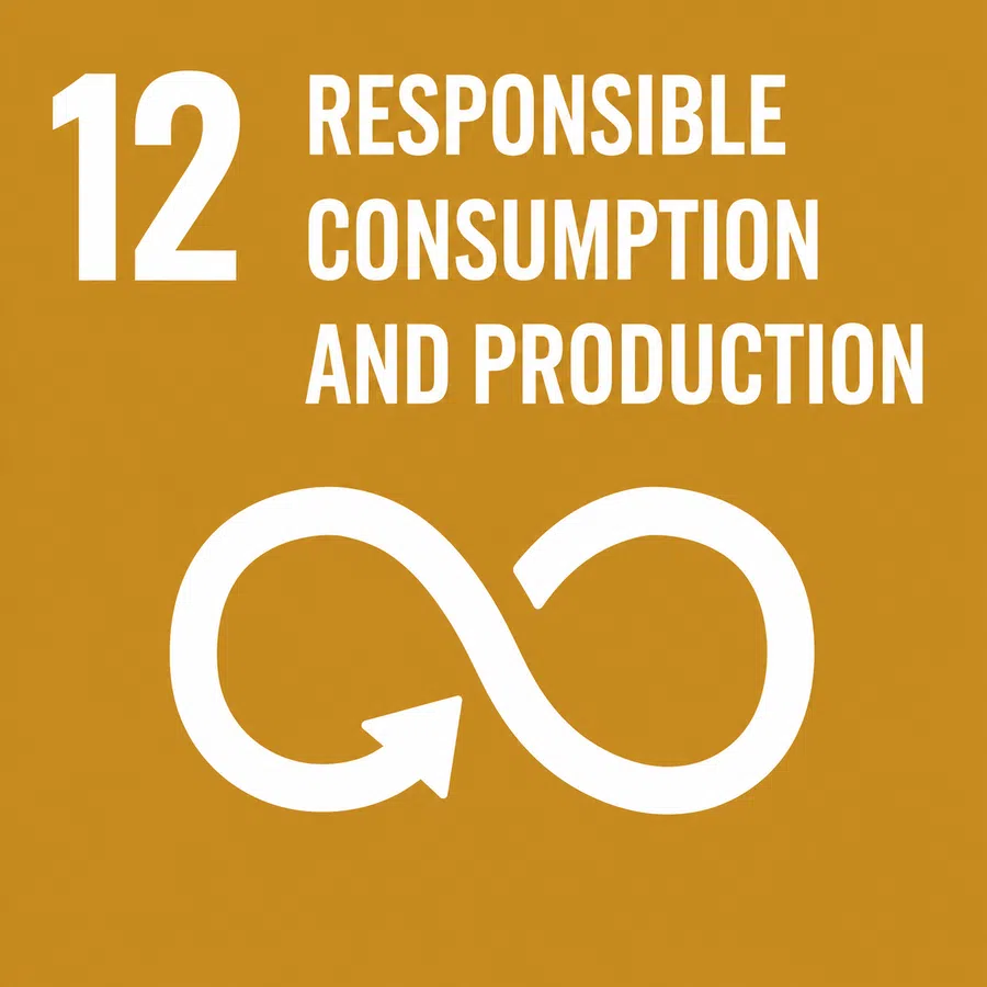 SDG 12 Responsible Consumption and Production card