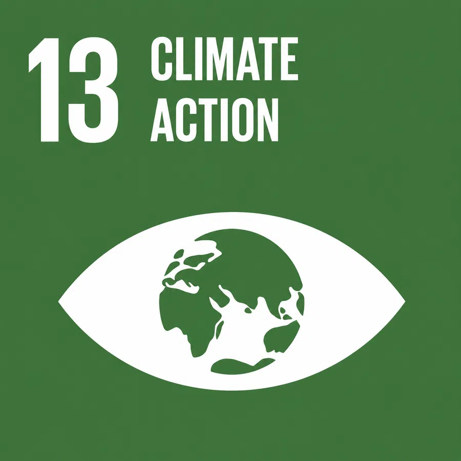 SDG 13 Climate Action card