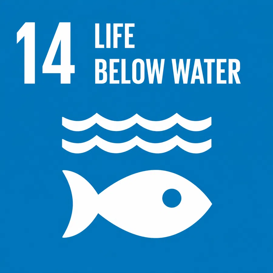 SDG 14 Life Below Water card