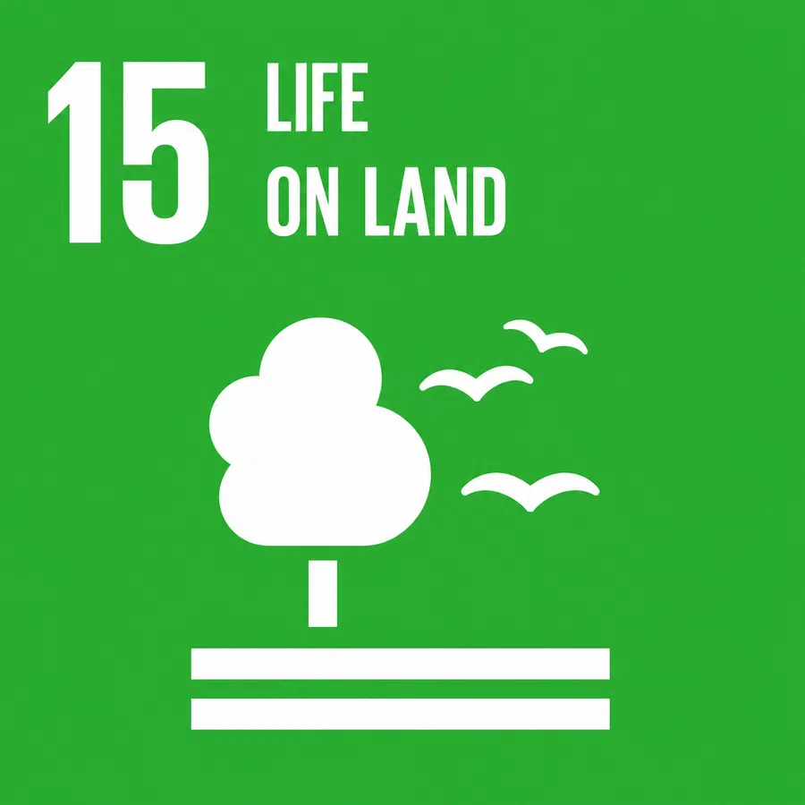 SDG 15 Life On Land card