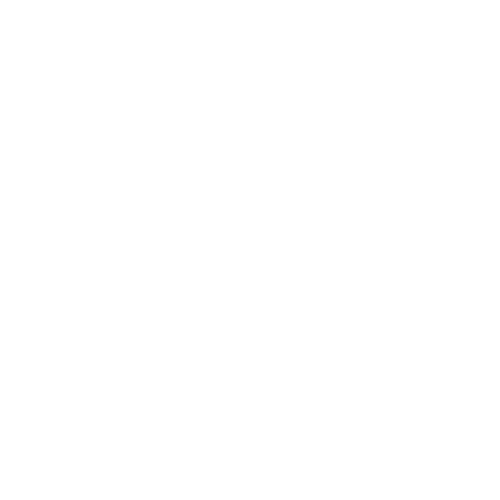 Slinski